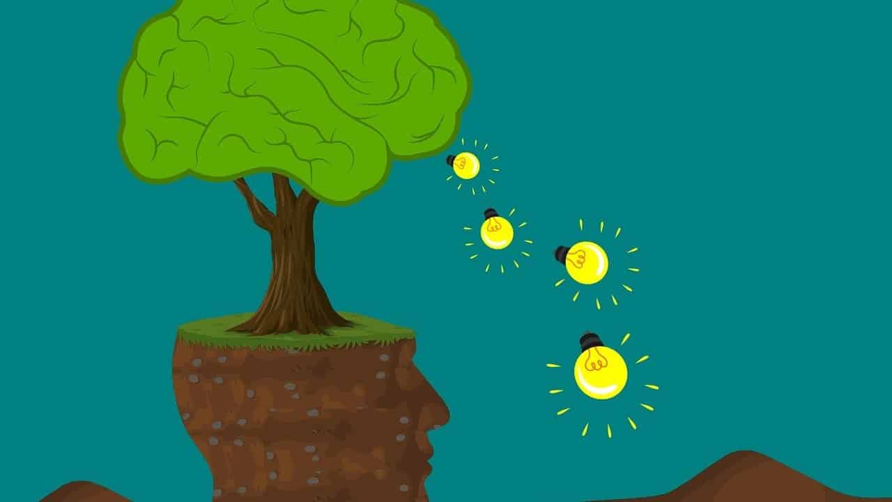 Can You Really Find Someone By EBT Case Number?